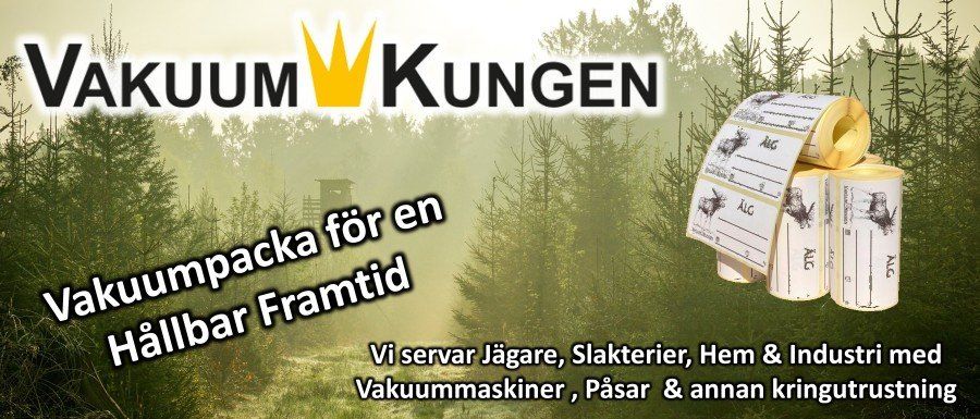 VakuumKungen