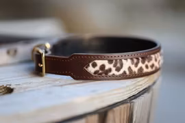 Hundhalsband Sessi, liten och mellanhund