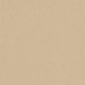 Dekorplast Läder NE42 - Beige