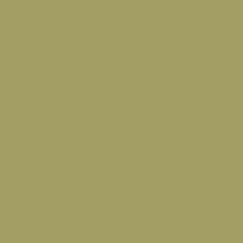 Dekorplast RM19 - Olive Green