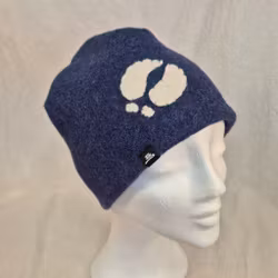 Ullmössa blåbär, renspår