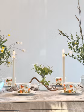 Porslin Hjortronblomning - Kaffekopp & fat