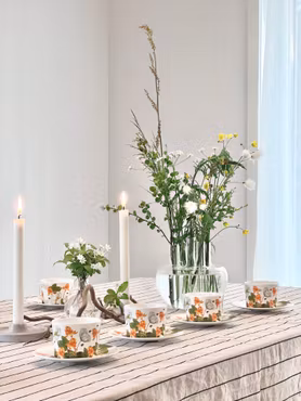 Porslin Hjortronblomning - Kaffekopp & fat