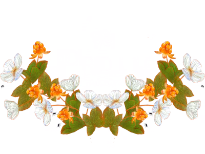 NORDLIG STUDIO