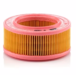 Luftfilter Mann C-1530 1962-67 Anglia, Corsair, Cortina (CA-641PL)