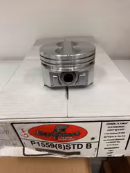 Kolvsats P 1559 Std 1980/89 305