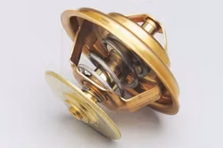 Termostat 78 gr. T-488, D42, TD42, D45, TD45