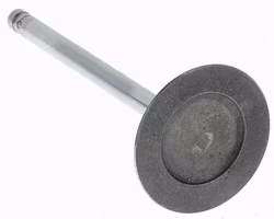 Ventil Insug V-4592 1999-07 4,8, 5,3 lit. V8