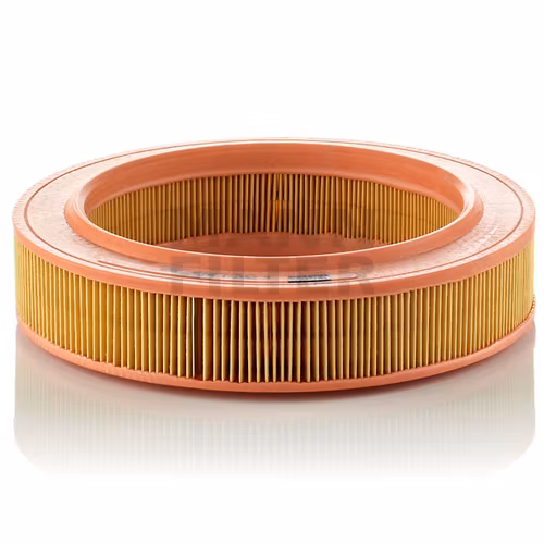 Luftfilter Mann C 2552/1 (CA-643PL)