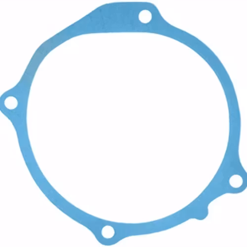 Vattenpumpspackning 10738 1955-64 272, 292, 312