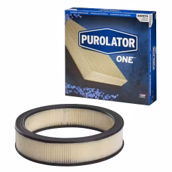Luftfilter Purolator A 60074 1965-85 GM-Bilar (WIX-42095)