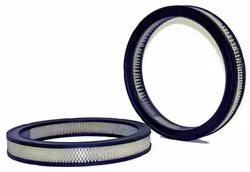 Luftfilter WIX 42079 1975-76 Mustang 302 V8