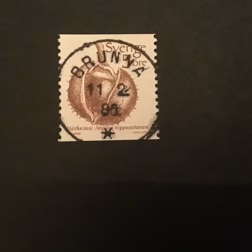 FRUKTER 1983 facit nr 1241 lyxstämplat BRUNNA