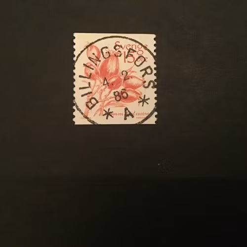 FRUKTER 1983 facit nr 1243 lyxstämplat BILLINGSFORS
