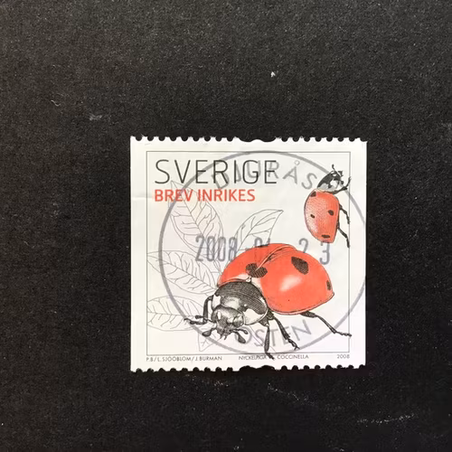INSEKTER 2008 facit nr 2637 A2 lyxstämplat DJURÅS