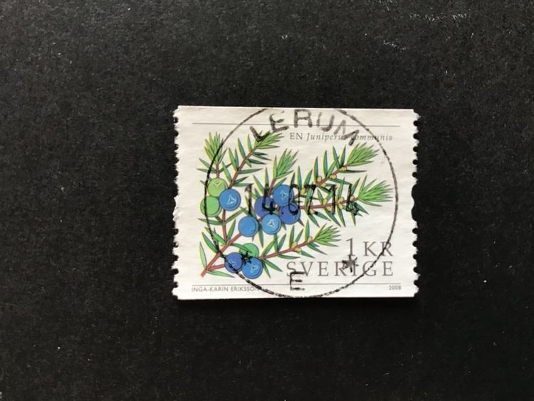 SVENSKA TRÄD 2008 facit nr 2647 lyxstämplat LERUM