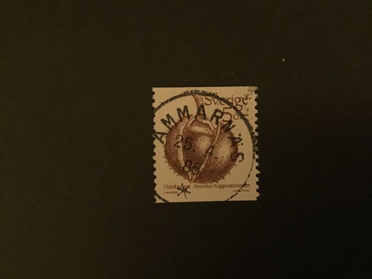 FRUKTER 1983 facit nr 1241 lyxstämplat AMMARNÄS