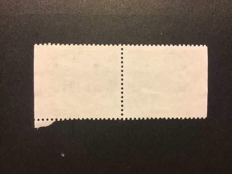 SÄLLSYNTA SÖTVATTENSFISKAR 1991 facit nr 1667 SX lyxstämplat par SALTSJÖ BOO