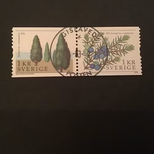 SVENSKA TRÄD 2008 facit nr 2647 SX 1 lyxstämplat par GISLAVED