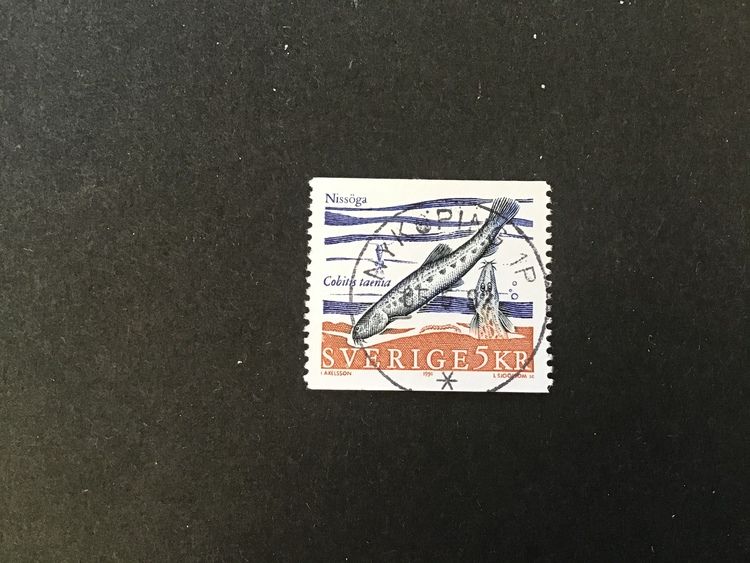 SÄLLSYNTA SÖTVATTENFISKAR facit nr 1668 lyxstämplat NYKÖPING 1 P