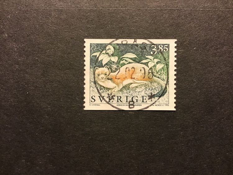 VILDA DJUR 3 1996 facit nr 1942 A lyxstämplat BORÅS 1