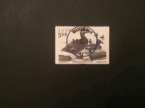 SJÖFÅGLAR 1993 facit nr 1807 lyxstämplat BODEN 1