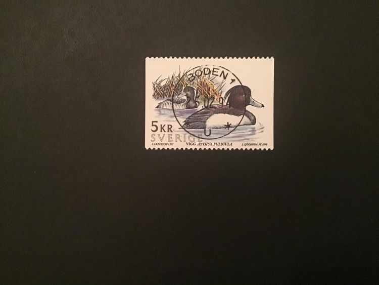 SJÖFÅGLAR 1993 facit nr 1808 lyxstämplat BODEN 1