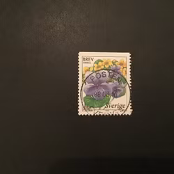 VÅTMARKSBLOMMOR PRAKTSTÄMPLAT POSTEN SVERIGE