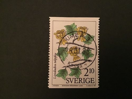 BOTANISKA TRÄDGÅRDAR facit nr 1473 LYXSTÄMPLAT UMEÅ 3