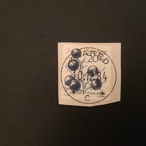FRUKTER 1983 facit nr 1244 LYXSTÄMPLAT KNÄRED