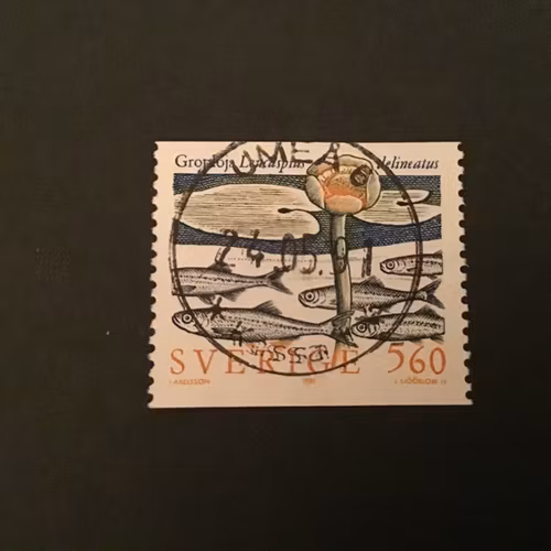 SÄLLSYNTA SÖTVATTENFISKAR facit nr 1671 LYXSTÄMPLAT UMEÅ 6