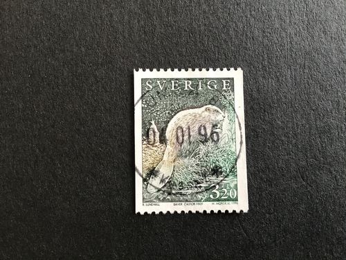 VILDA DJUR 3 1996 facit nr 1941 LYXSTÄMPLAT UMEÅ 8