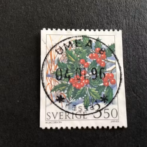 VINTERBÄR 1996 facit nr 1945 LYXSTÄMPLAT UMEÅ 8