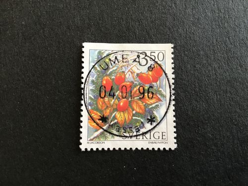 VINTERBÄR 1996 facit nr 1946 LYXSTÄMPLAT UMEÅ 8