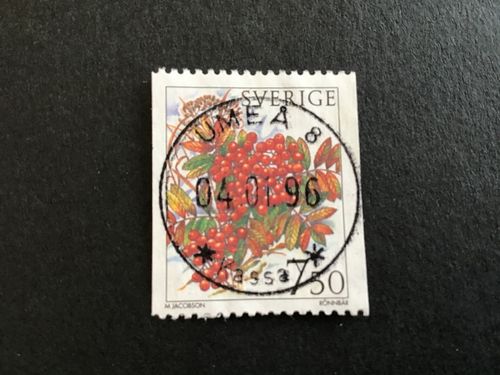 VINTERBÄR 1996 facit nr 1948 LYXSTÄMPLAT UMEÅ 8