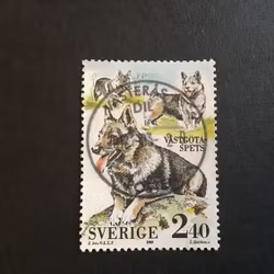 SVENSKA HUNDAR facit nr 1588 LYXSTÄMPLAT VÄSTERÅS DIL