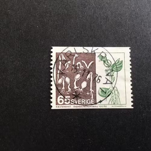 SVENSK FRÖKONTROLL facit nr 959 PRAKTST.  KARLSKRONA 1