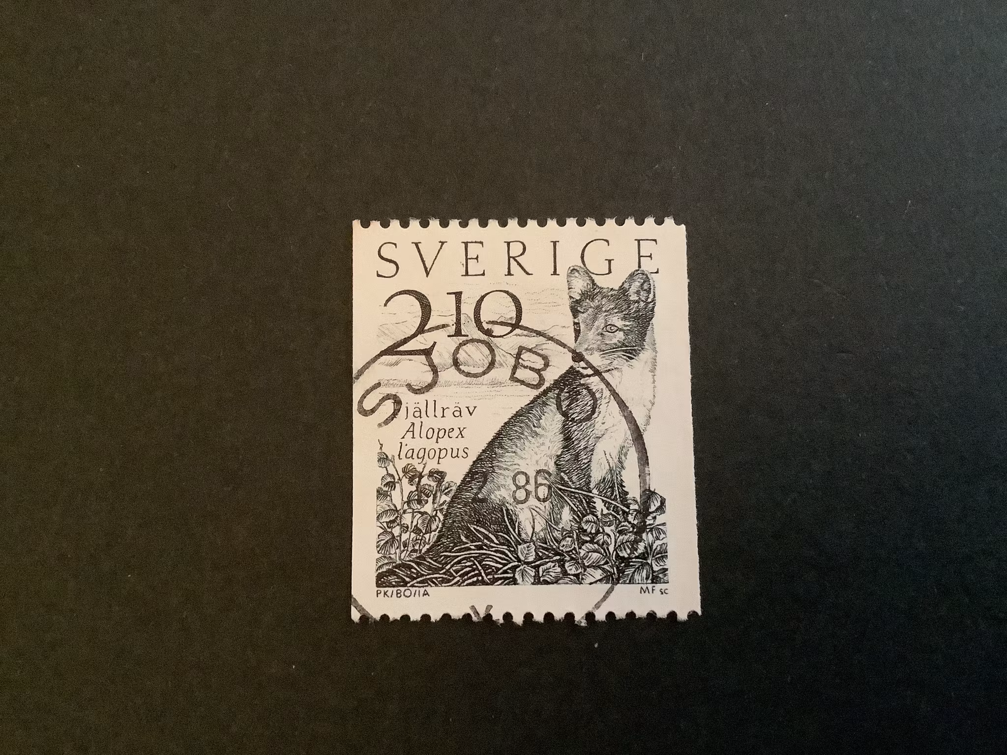 FJÄLLRÄV 1983 facit nr 1265 PRAKTST SJÖBO