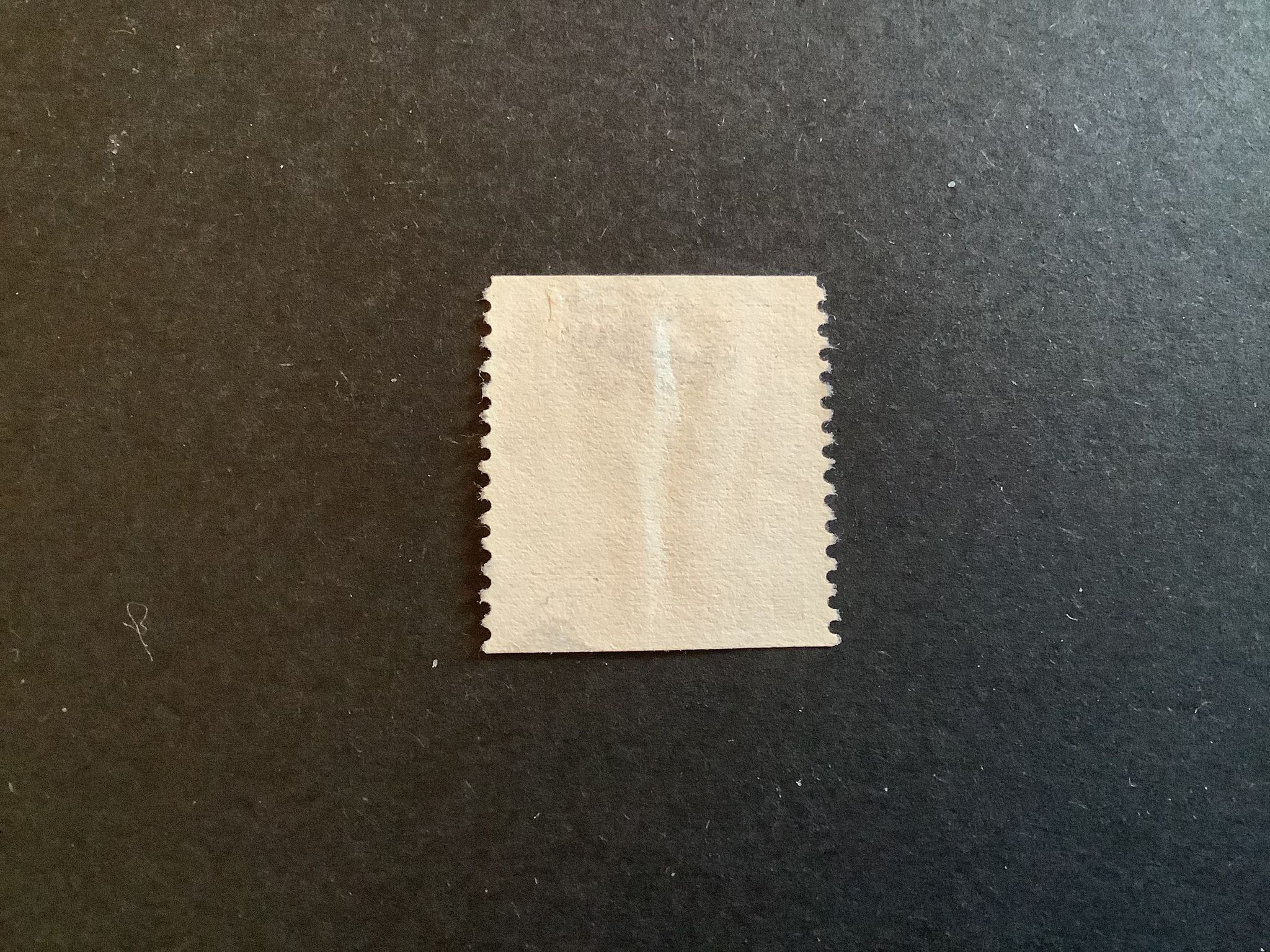 FNR 276 A LYXST LUDVIKA *LBR A*