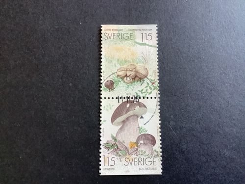 SVAMPAR 1978 facit nr 1060 SX LYXST PAR ASKIM