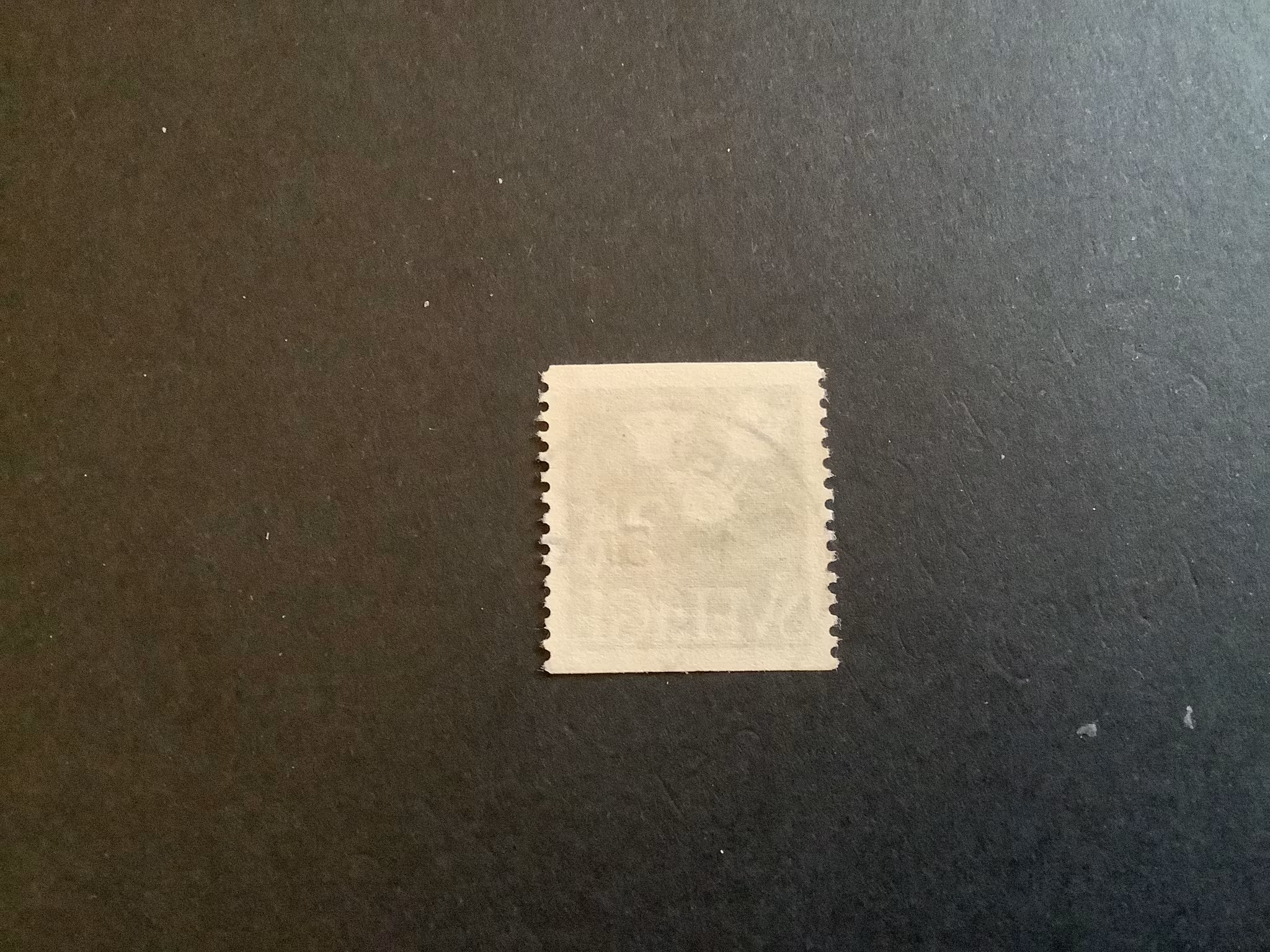 FNR 310 PRAKTSTÄMPLAT TOMELILLA