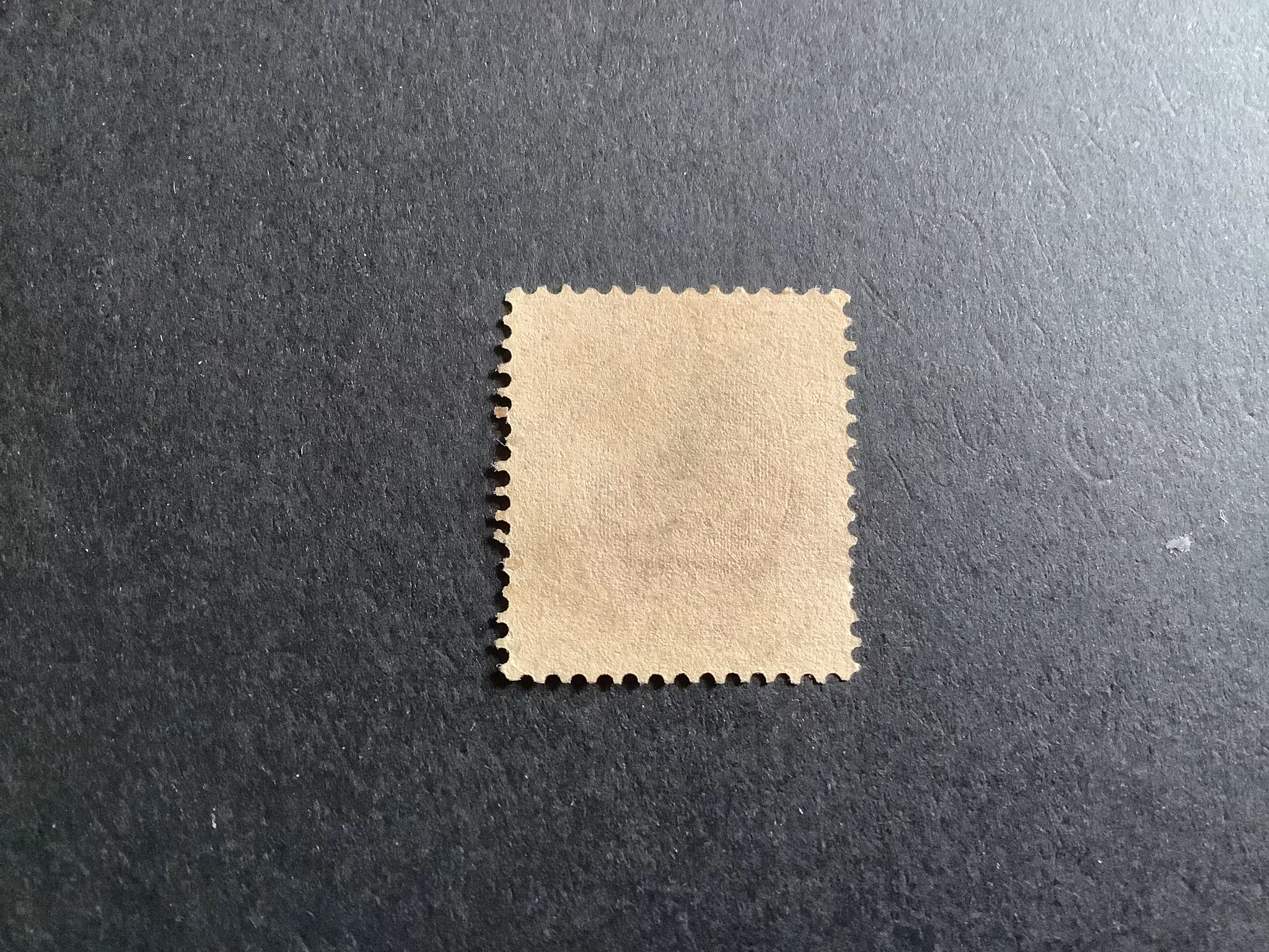 FNR 54 PRAKTSTÄMPLAT FORSHAGA