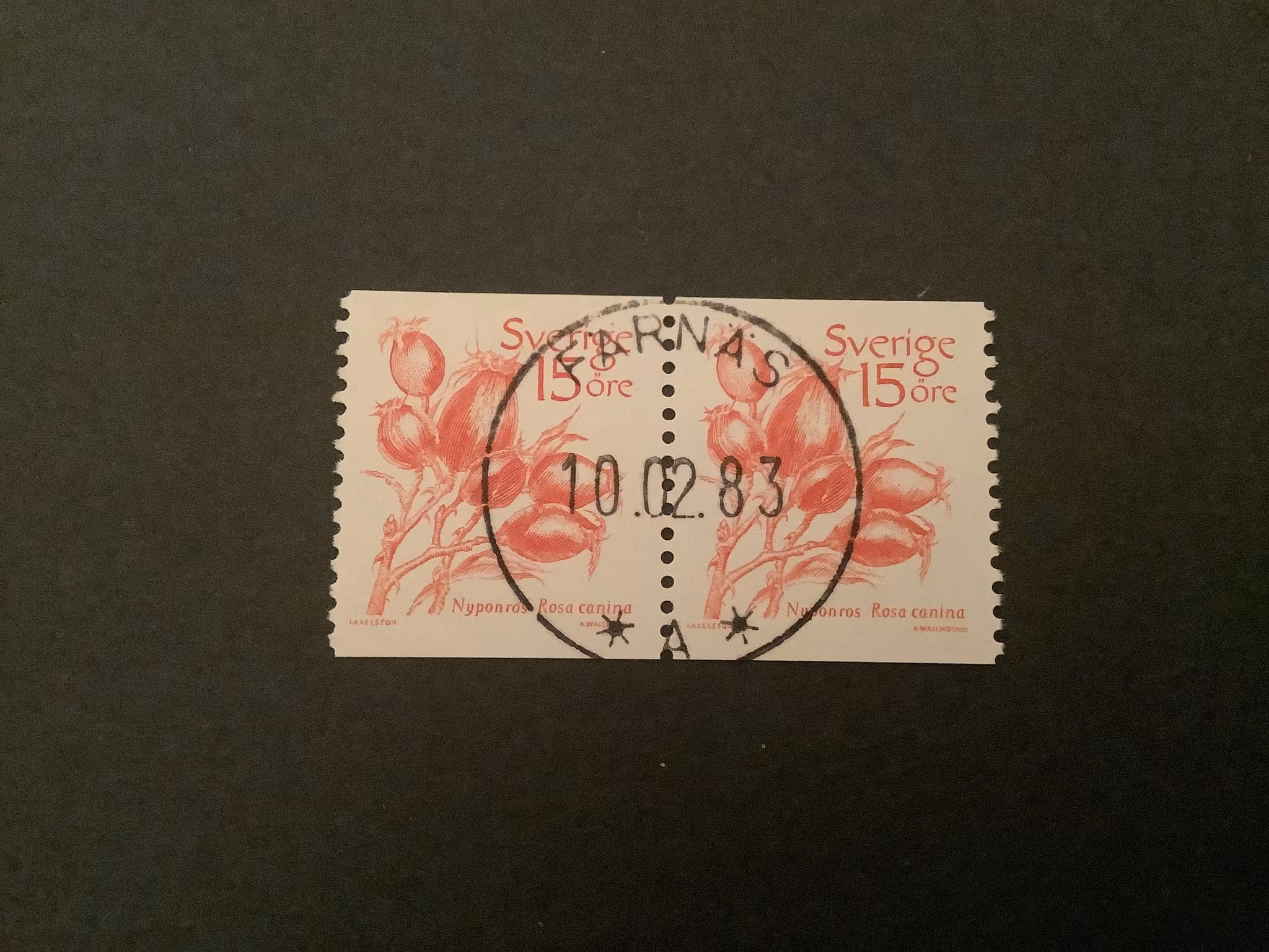 Frukter facit nr 1243 lyxstämplat par FÄRNÄS