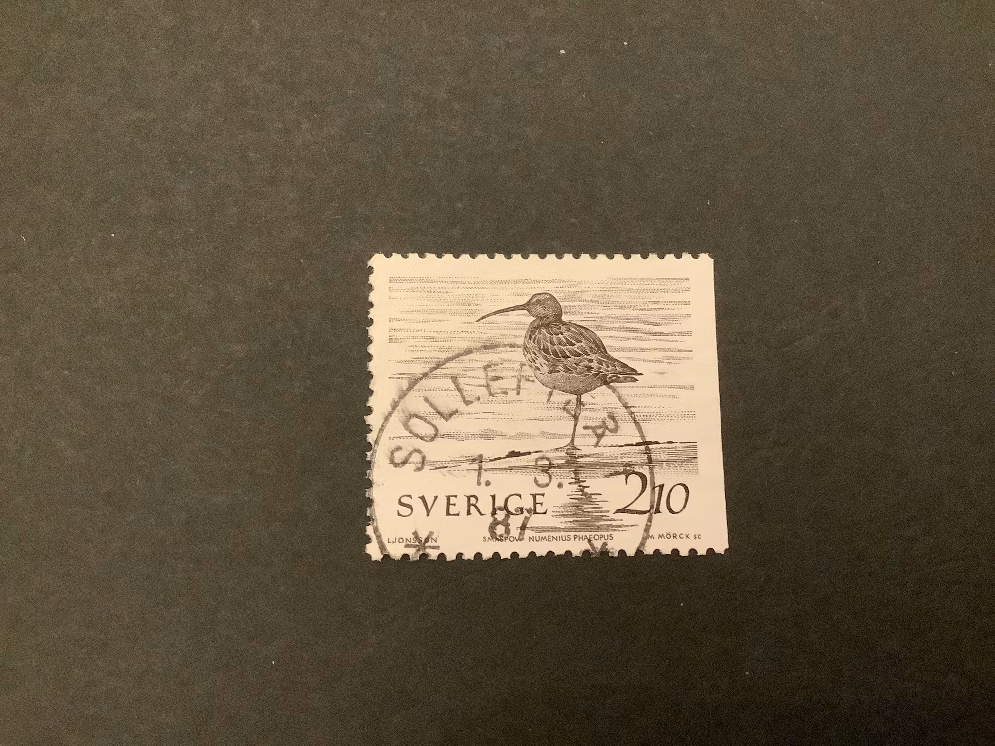 Fåglar vid vatten facit nr 1394 praktstämplat SOLLEFTEÅ 1