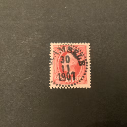 Fnr 54 praktstämplat RAMSELE