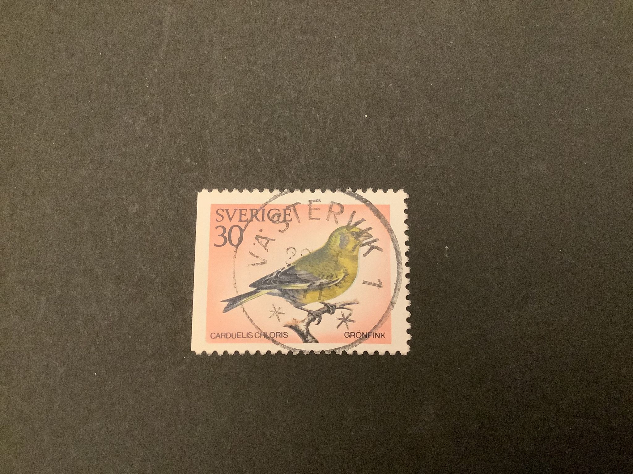 Svenska fåglar facit nr 714 B1 praktstämplat VÄSTERVIK 1