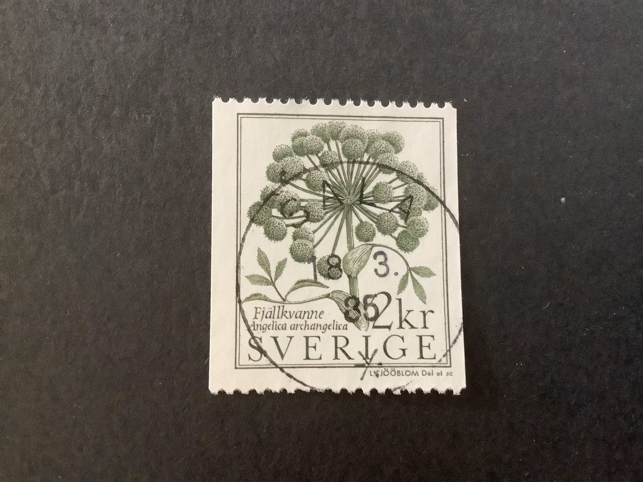 Fjällvärld facit nr 1293 lyxstämplat SALA