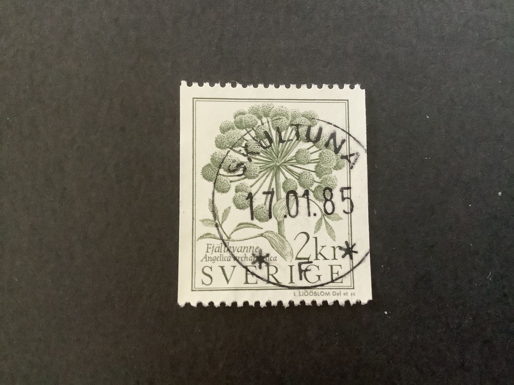 Fjällvärld facit nr 1293 lyxstämplat SKULTUNA