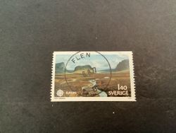 Europa VI facit nr 1007 praktstämplat FLEN