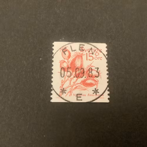 Frukter facit nr 1243 lyxstämplat FLEN